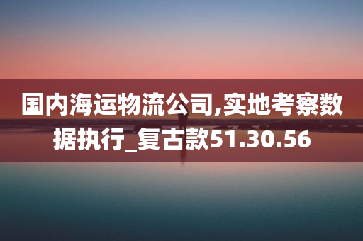 国内海运物流公司,实地考察数据执行_复古款51.30.56