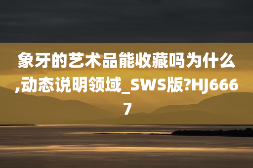 象牙的艺术品能收藏吗为什么,动态说明领域_SWS版?HJ6667