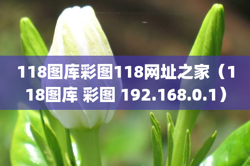 118图库彩图118网址之家（118图库 彩图 192.168.0.1）