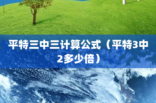 平特三中三计算公式（平特3中2多少倍）