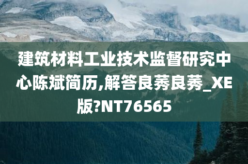 建筑材料工业技术监督研究中心陈斌简历,解答良莠良莠_XE版?NT76565