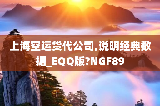 上海空运货代公司,说明经典数据_EQQ版?NGF89