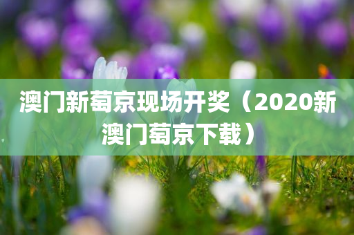 澳门新萄京现场开奖（2020新澳门萄京下载）