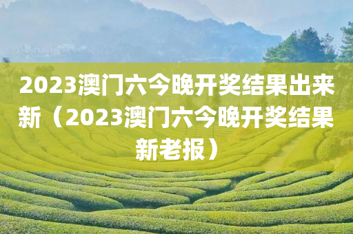 2023澳门六今晚开奖结果出来新（2023澳门六今晚开奖结果新老报）