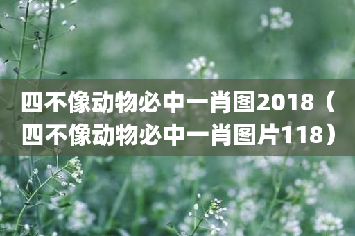 四不像动物必中一肖图2018（四不像动物必中一肖图片118）