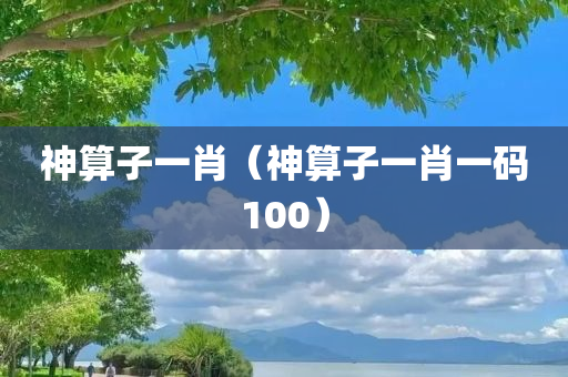 神算子一肖（神算子一肖一码100）