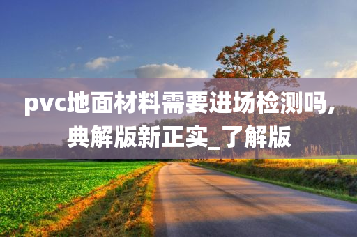 pvc地面材料需要进场检测吗,典解版新正实_了解版