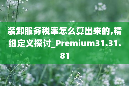 装卸服务税率怎么算出来的,精细定义探讨_Premium31.31.81