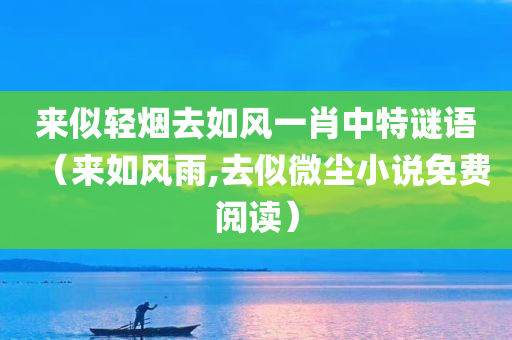 来似轻烟去如风一肖中特谜语（来如风雨,去似微尘小说免费阅读）