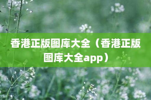 香港正版图库大全（香港正版图库大全app）