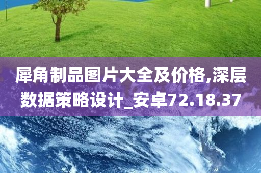 犀角制品图片大全及价格,深层数据策略设计_安卓72.18.37