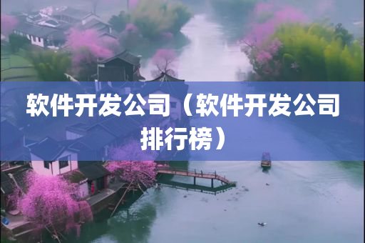 软件开发公司（软件开发公司排行榜）