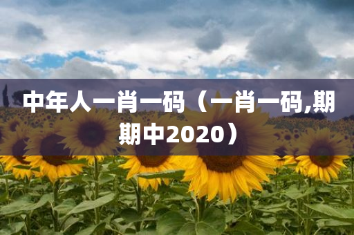 中年人一肖一码（一肖一码,期期中2020）