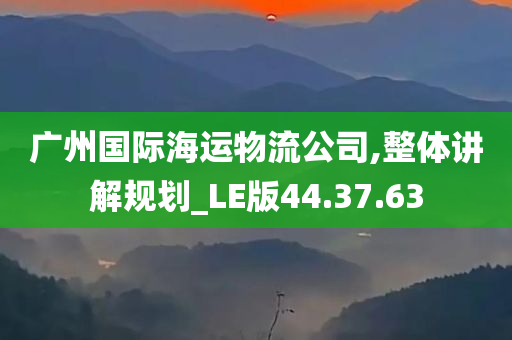 广州国际海运物流公司,整体讲解规划_LE版44.37.63