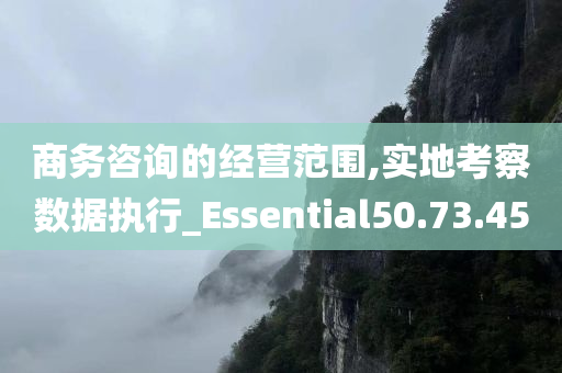 商务咨询的经营范围,实地考察数据执行_Essential50.73.45