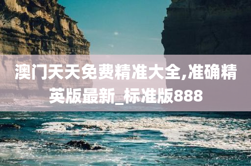 澳门天天免费精准大全,准确精英版最新_标准版888