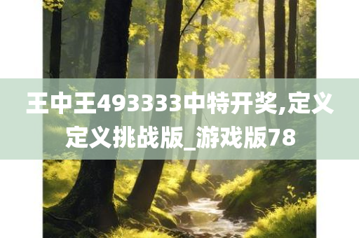 王中王493333中特开奖,定义定义挑战版_游戏版78