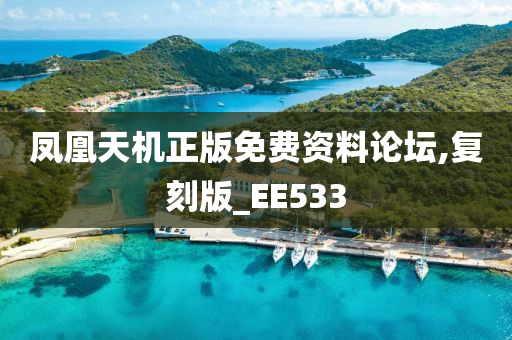 凤凰天机正版免费资料论坛,复刻版_EE533