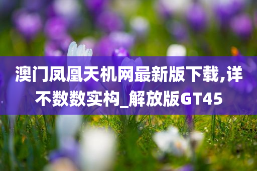 澳门凤凰天机网最新版下载,详不数数实构_解放版GT45