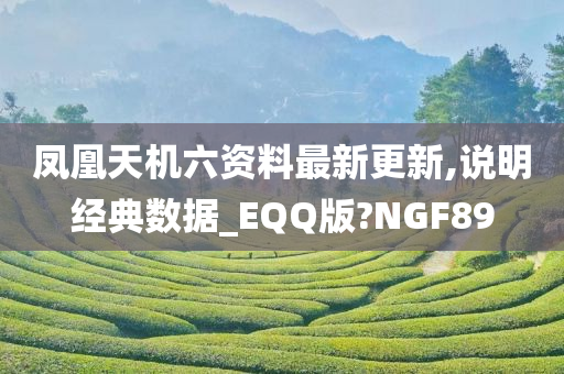 凤凰天机六资料最新更新,说明经典数据_EQQ版?NGF89