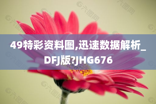 49特彩资料图,迅速数据解析_DFJ版?JHG676