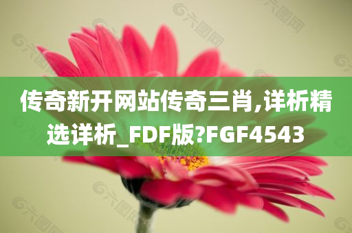 传奇新开网站传奇三肖,详析精选详析_FDF版?FGF4543