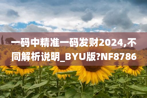 一码中精准一码发财2024,不同解析说明_BYU版?NF8786