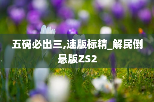 五码必出三,速版标精_解民倒悬版ZS2