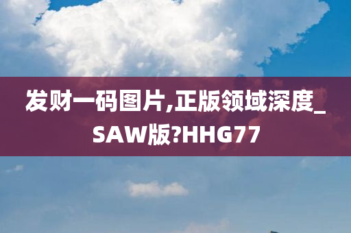 发财一码图片,正版领域深度_SAW版?HHG77