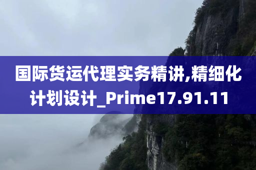 国际货运代理实务精讲,精细化计划设计_Prime17.91.11