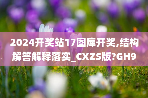 2024开奖站17图库开奖,结构解答解释落实_CXZS版?GH9