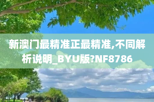 新澳门最精准正最精准,不同解析说明_BYU版?NF8786