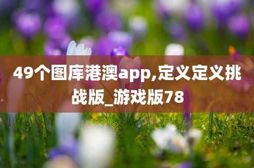 49个图库港澳app,定义定义挑战版_游戏版78