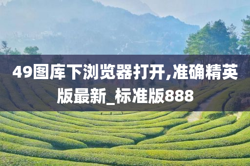 49图库下浏览器打开,准确精英版最新_标准版888