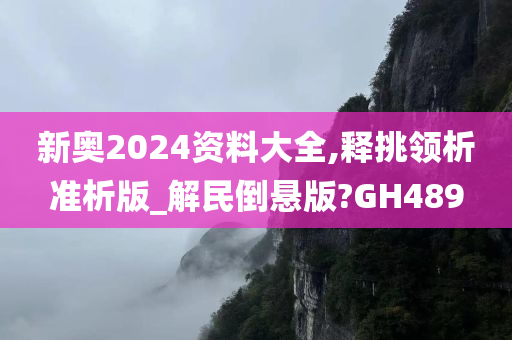 新奥2024资料大全,释挑领析准析版_解民倒悬版?GH489