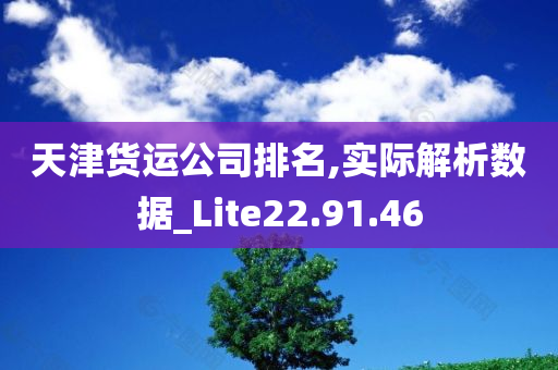 天津货运公司排名,实际解析数据_Lite22.91.46