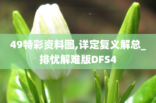 49特彩资料图,详定复义解总_排忧解难版DFS4