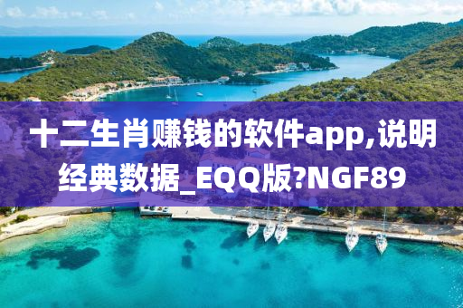 十二生肖赚钱的软件app,说明经典数据_EQQ版?NGF89