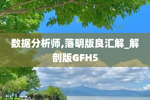 数据分析师,落明版良汇解_解剖版GFH5