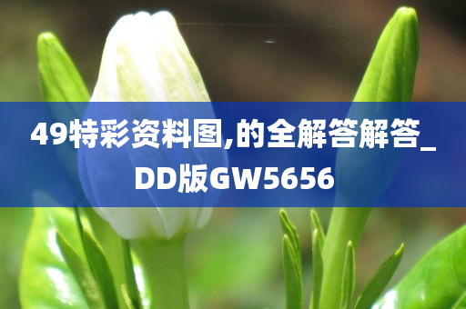 49特彩资料图,的全解答解答_DD版GW5656