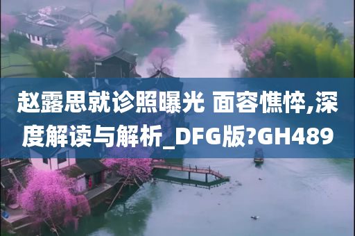 赵露思就诊照曝光 面容憔悴,深度解读与解析_DFG版?GH489