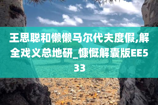 王思聪和懒懒马尔代夫度假,解全戏义总地研_慷慨解囊版EE533