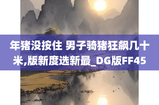 年猪没按住 男子骑猪狂飙几十米,版新度选新最_DG版FF45