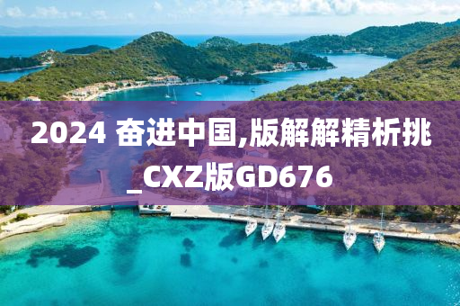 2024 奋进中国,版解解精析挑_CXZ版GD676