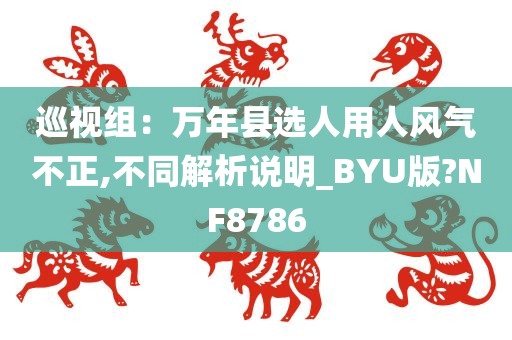 巡视组：万年县选人用人风气不正,不同解析说明_BYU版?NF8786