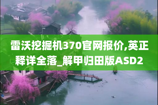 雷沃挖掘机370官网报价,英正释详全落_解甲归田版ASD2