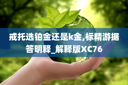 戒托选铂金还是k金,标精游据答明释_解释版XC76