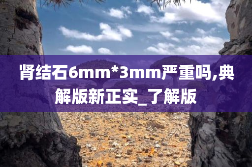 肾结石6mm*3mm严重吗,典解版新正实_了解版