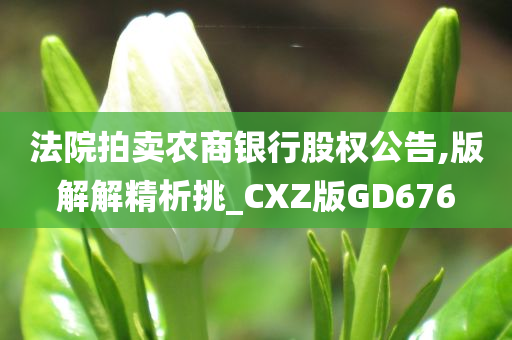 法院拍卖农商银行股权公告,版解解精析挑_CXZ版GD676