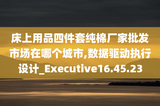 床上用品四件套纯棉厂家批发市场在哪个城市,数据驱动执行设计_Executive16.45.23